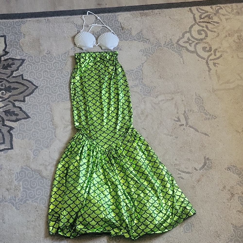 Green Mermaid Costume with Shell Top. Fits SMALL to MEDIUM, maybe A Large.